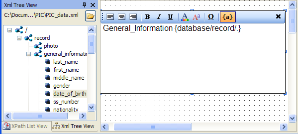 Editing the paragraph block - some data fields and static text have been added