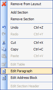 Selecting Edit Paragraph option in Address Block Wizard